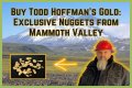 Unveiling The Gold Mine Of Todd Hoffman's Financial Empire